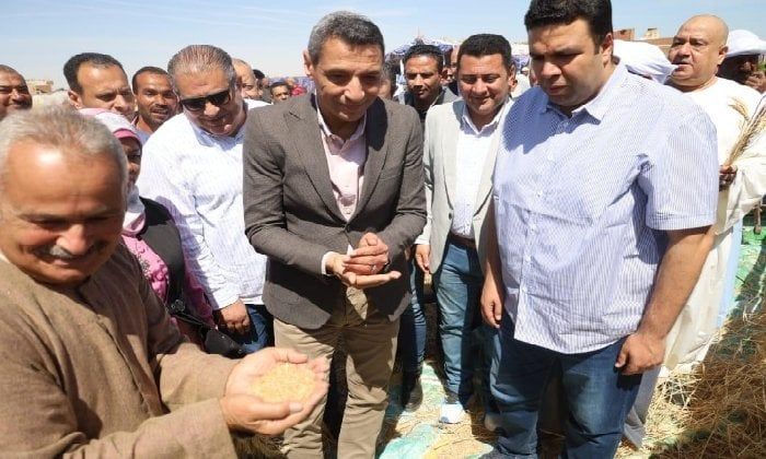 محافظ السويس يفتتح موسم حصاد القمح من قرية الشلوفة بالقطاع الريفي بالجناين