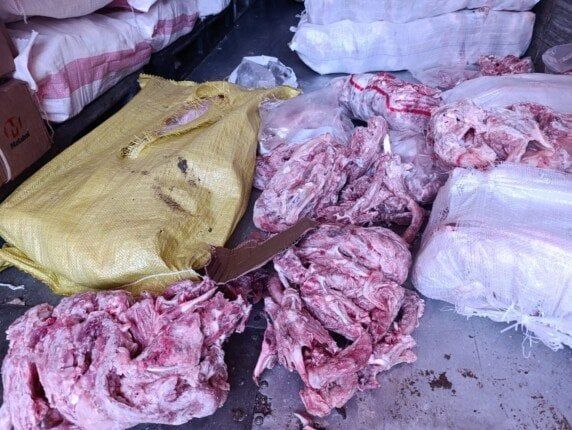 كارثة بالخانكة.. ضبط 10 أطنان هياكل دواجن مجهولة المصدر داخل مصنع لحوم