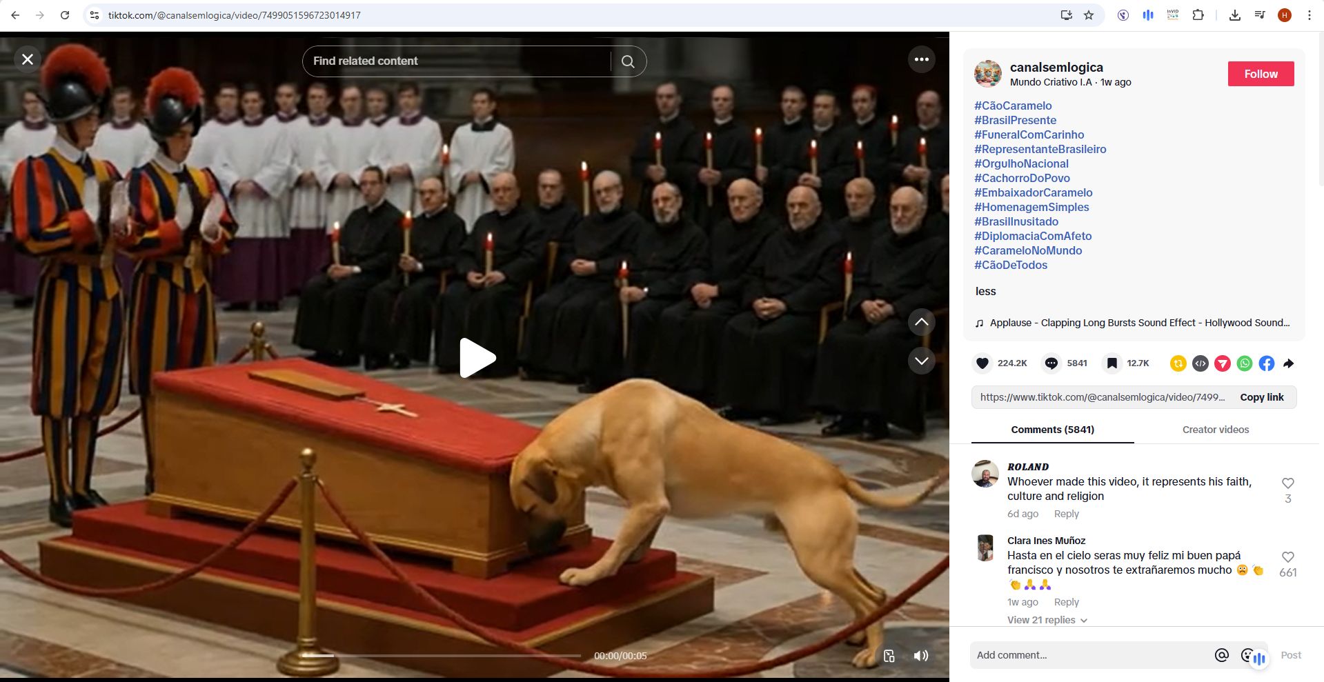 لقطة من الفيديو المنشور في حساب canalsemlogica في تيك توك