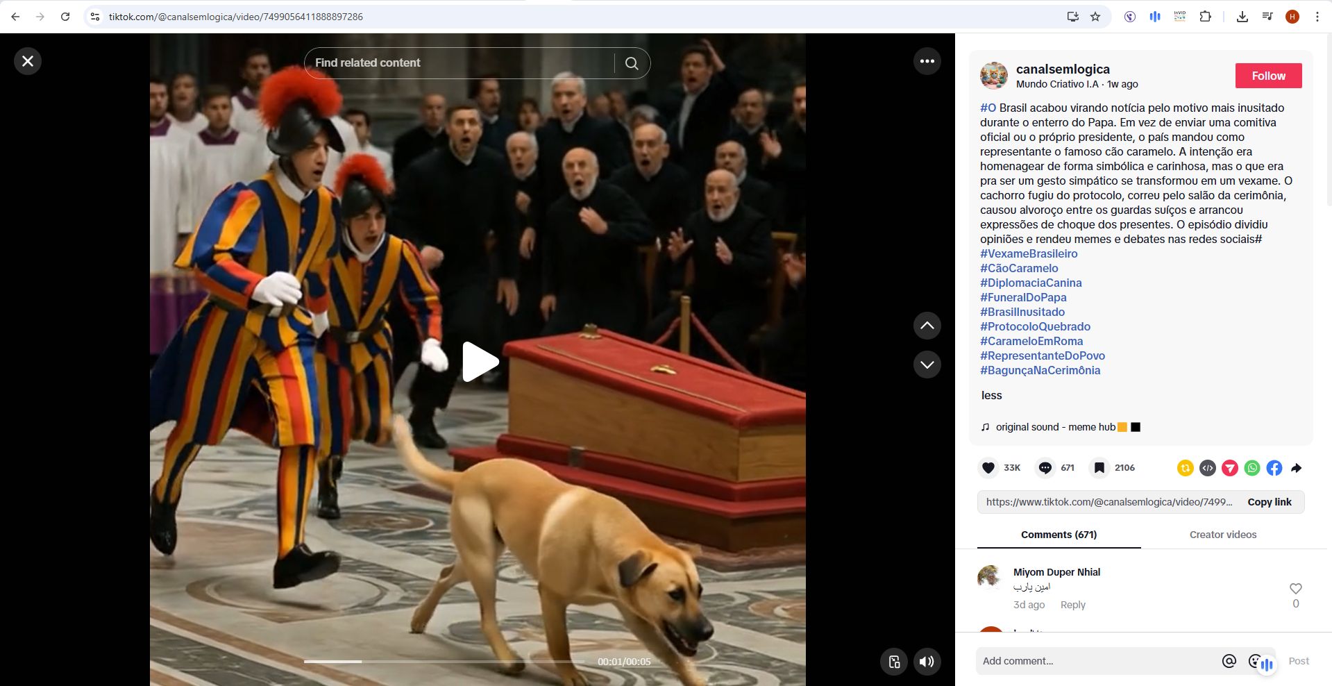 لقطة من الفيديو المنشور في حساب canalsemlogica في تيك توك