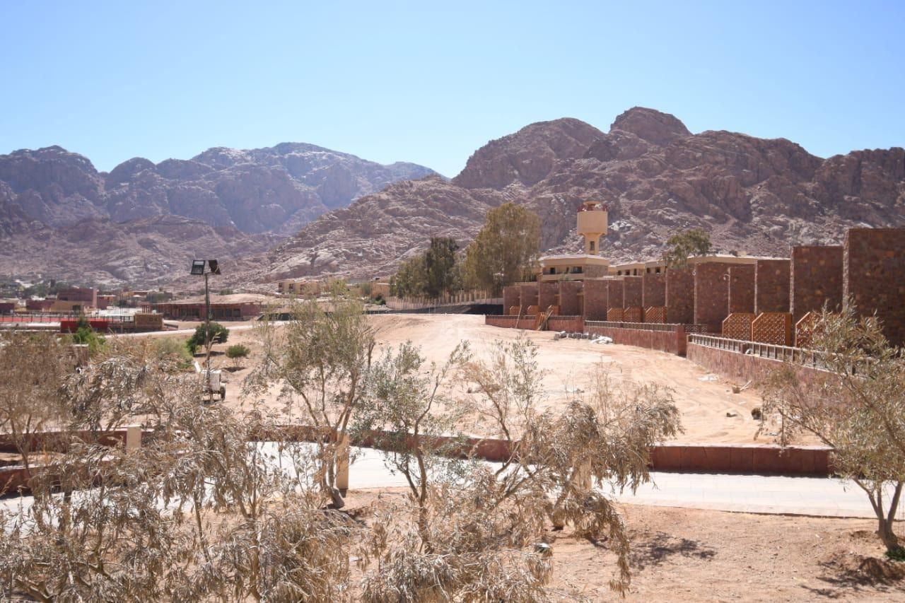 f058861019.jpg