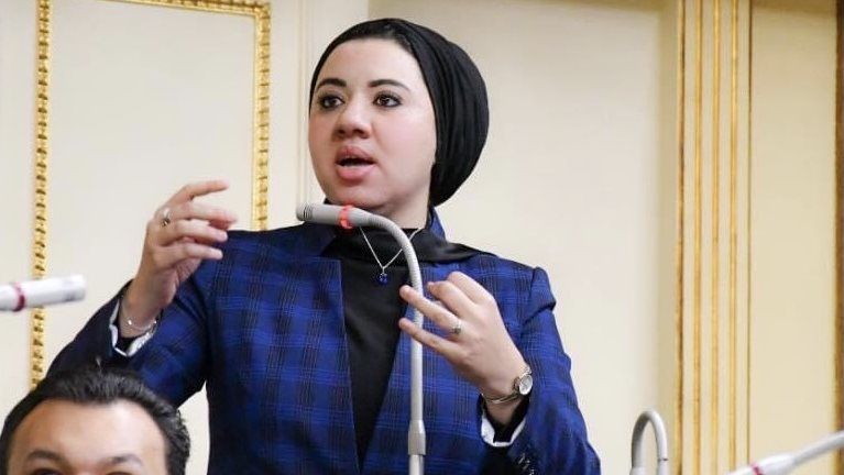 العربي للعدل والمساواة النائبة أميرة صابر: أهمية اتفاق إنشاء حساب المشروعات مع البنك الأوروبي لتحسين بيئة الأعمال