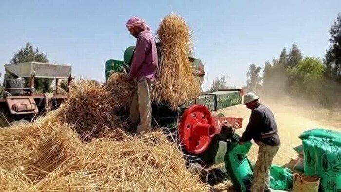 مصرع شاب داخل ماكينة دراسة قمح بمنشأة جريس بالمنوفية