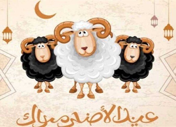 موعد وقفة عرفات 2025