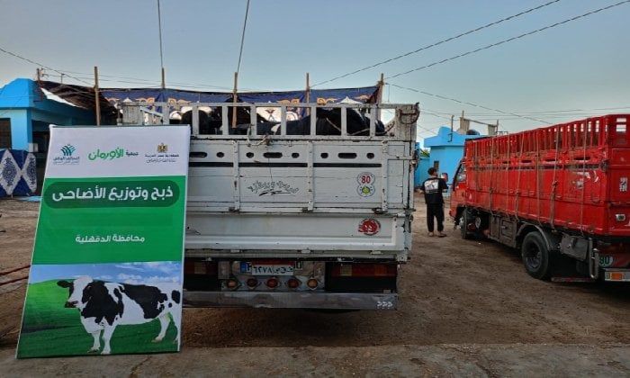 الأورمان تستعد لعيد الأضحى وتطلق خطة لتوزيع الأضاحي على غير القادرين بالدقهلية
