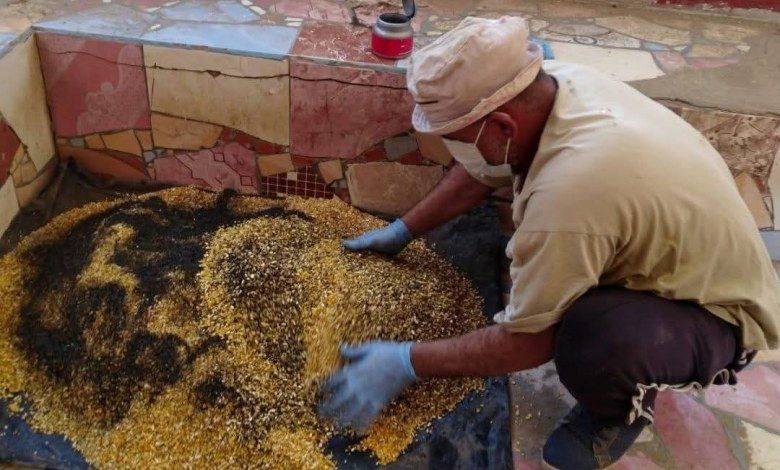 العربي للعدل والمساواة انطلاق الحملة القومية لمكافحة القوارض بمراكز وقرى الشرقية
