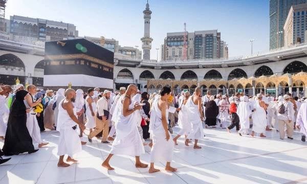العربي للعدل والمساواة