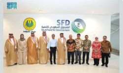 الصندوق السعودي للتنمية