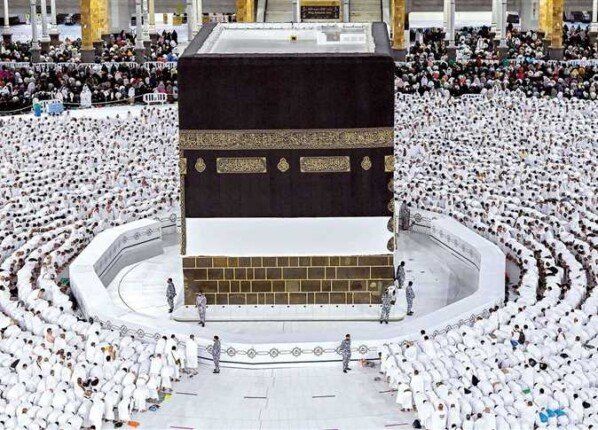 العربي للعدل والمساواة
