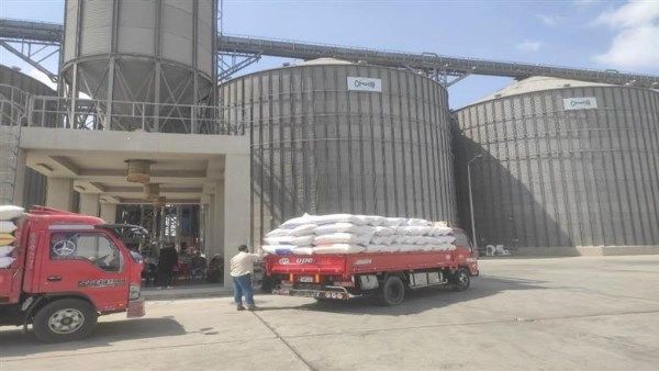 العربي للعدل والمساواة توريد 369 ألف طن قمح للشون والصوامع بالوادي الجديد