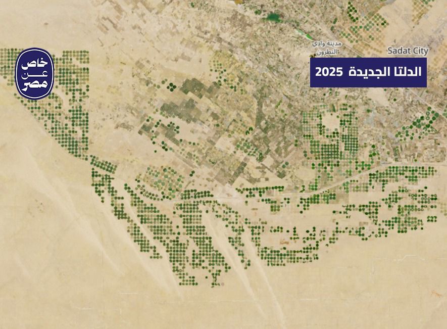 الدلتا الجديدة