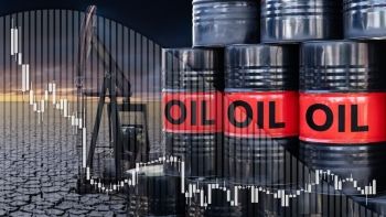 انخفاض أسعار النفط بأكثر من 2 % عند التسوية