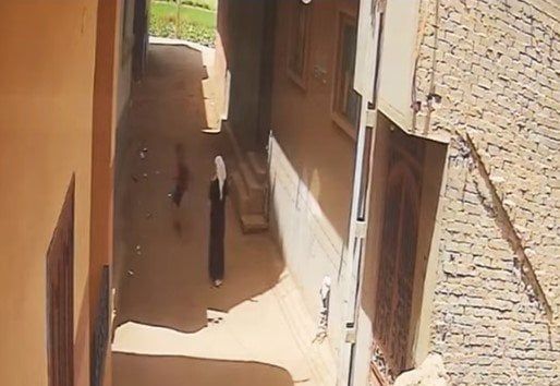 «وضعت غطاء رأسها على وجهه».. «الداخلية» تكشف حقيقة خطف فتاة لطفل في الدقهلية