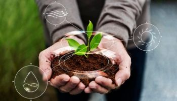 منذ انطلاق رؤية 2030.. 30,6 مليار ريال إجمالي تمويل المشاريع الزراعية