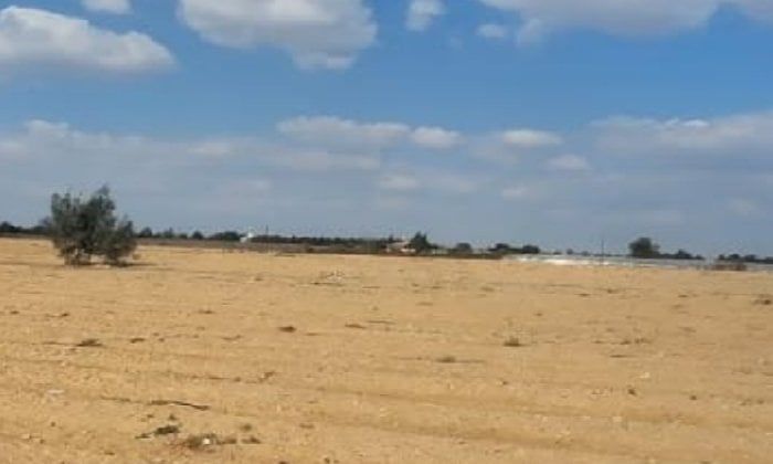 البحيرة تسترد 10 أفدنة من أراضي أملاك الدولة بوادي النطرون