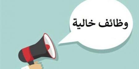 «الأعلى للجامعات» يعلن عن فرص عمل جديدة.. رابط وشروط التقديم - تكنو بلس