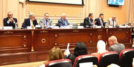 الوزير محمود فوزى: لا انحياز لطرف على الآخر بمناقشات مشروع قانون الإيجار القديم - تكنو بلس