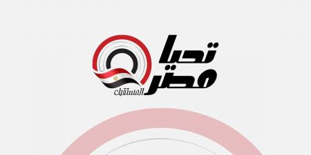 مصرع شخص وإصابة 3 آخرين في حادث مروع أمام مول مصر - تكنو بلس