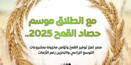 إعلام الوزراء: 3.1 مليون فدان قمح وأصناف جديدة عالية الإنتاجية ودعم غير مسبوق للمزارعين في موسم توريد 2025 - تكنو بلس