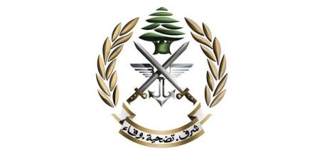 الجيش: تسلمنا من حماس فلسطينيا مشتبهًا به في عمليتَي إطلاق صواريخ باتجاه الأراضي الفلسطينية المحتلة - تكنو بلس