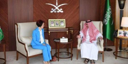 سفير المملكة لدى مصر يستقبل المديرة الإقليمية لبرنامج الأغذية العالمي - تكنو بلس