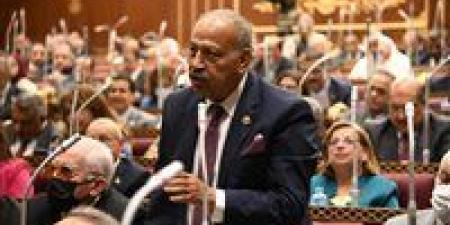 النائب هاني العسال: تجديد الخطاب الديني مسؤولية مجتمعية لبناء وعي حقيقي قادر على مواجهة الفكر المتطرف - تكنو بلس