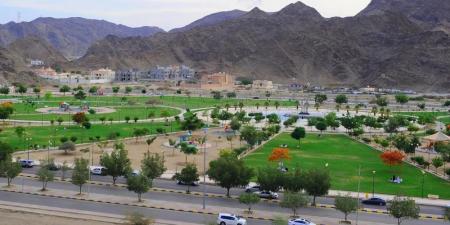 صور.. متنزه "الأمير جلوي" بنجران وجهة لقضاء أمتع الإجازات - تكنو بلس