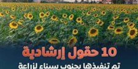 «بحوث الصحراء»: تم إدخال أصناف زيتية من محصول عباد الشمس لسيناء لأول مرة - تكنو بلس