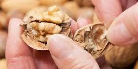 هل يحميك الجوز من سرطان القولون؟ دراسة تجيب - تكنو بلس