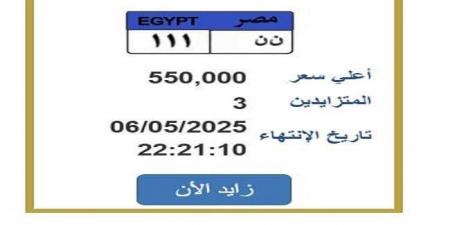 سعرها تخطى نصف مليون جنيه.. المزايدة على لوحة سيارة مميزة - تكنو بلس