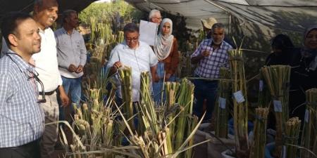 "الزراعة" تطلق فعاليات مشروع "التصدي لتغير المناخ من محافظة أسيوط - تكنو بلس