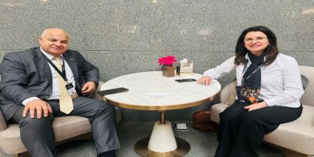 وزير العمل يبحث مع المديرة الإقليمية لمنظمة العمل الدولية تعزيز التعاون المشترك - تكنو بلس