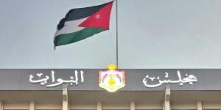 “النواب” يوافق على توصيات اللجنة المالية بشأن تقريري المحاسبة 2022 و2023 - تكنو بلس