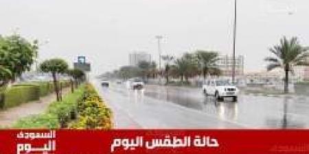 طقس السعودية اليوم الثلاثاء 6 مايو.. أجواء مشمسة - تكنو بلس