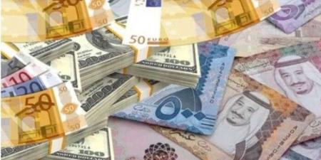 أسعار العملات العربية والأجنبية في مصر اليوم.. الثلاثاء 6-5-2025 - تكنو بلس