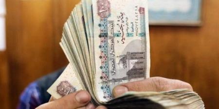 لـ الاستعلام عن منحة العمالة غير المنتظمة بالرقم القومي 2025.. اتبع هذه الخطوات - تكنو بلس