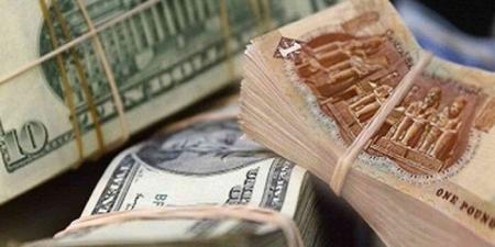 سعر الدولار مقابل الجنيه اليوم الثلاثاء 6 مايو 2025 - تكنو بلس