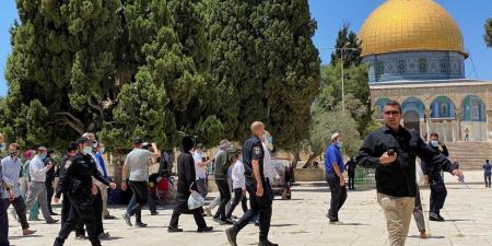 عشرات المستوطنين يقتحمون باحات المسجد الأقصى تحت حماية شرطة الاحتلال - تكنو بلس