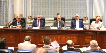 محافظ الغربية باجتماع محلية النواب: في انتظار التدشين الرسمي للمرحلة الثانية من مبادرة حياة كريمة - تكنو بلس
