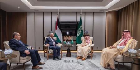وزير الخارجية يبحث تطورات الأوضاع مع نائب رئيس دولة فلسطين - تكنو بلس