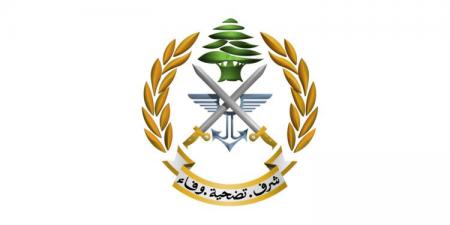 الجيش: توقيف مطلوبين بجرم إطلاق النار في بلدات فنيدق وعين الذهب وقبعيت - تكنو بلس