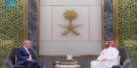 بن سلمان والشيخ يبحثان تعزيز العمل المشترك لدعم القضية الفلسطينية - تكنو بلس
