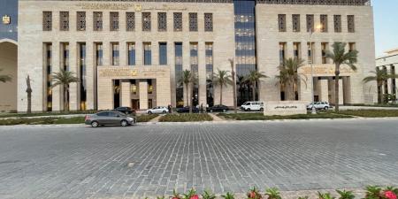 دعم الابتكار وتعزيز التعاون الدولي..أنشطة التعليم العالي في أسبوع - تكنو بلس