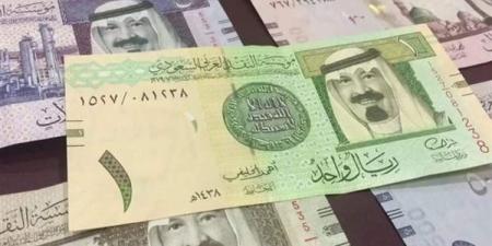 الريال السعودى يسجل 13.48 جنية فى السوق المصرفى المصرى - تكنو بلس