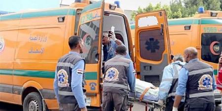 تهور السائق.. إصابة 8 عمال في حادث تصادم مروع بزراعي المنيا - تكنو بلس