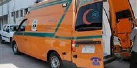 طفل 11 عامًا يُنهي حياته بسبب التنمر.. والأجهزة الأمنية بالإسماعيلية تُحقق في الواقعة - تكنو بلس