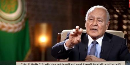 “أبو الغيط”: وزراء خارجية مصر والأردن والسعودية والبحرين يتحركون عالميا لدعم فلسطين - تكنو بلس