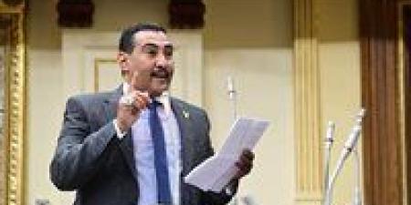 النائب محمد الجبلاوي: هناك مافيا لغش البنزين في مستودعات وزارة البترول - تكنو بلس