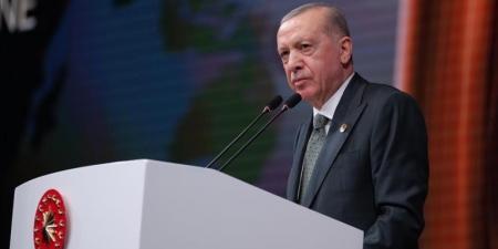 إردوغان يأمل في عدم إضاعة "نافذة الفرصة" المتاحة بشأن أوكرانيا - تكنو بلس