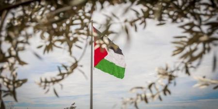 وزير الخارجية الفرنسي: "لن يملي أحد موقفه على فرنسا" بشأن الاعتراف بالدولة الفلسطينية - تكنو بلس